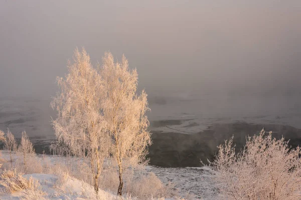 Rami di alberi ricoperti di ghiaccio sulla riva del fiume in gravi gelate — Foto Stock