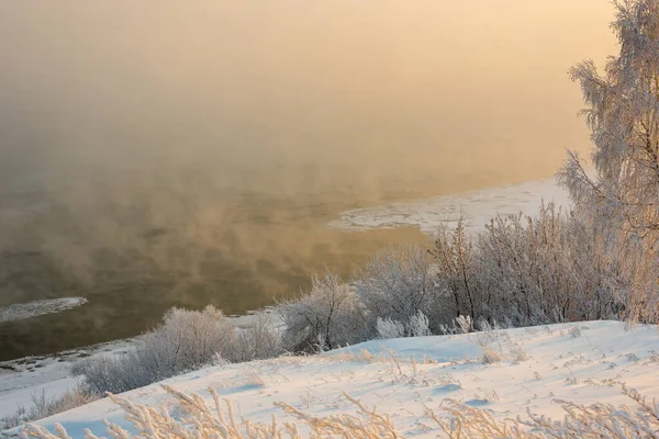 Eisige Äste am Flussufer bei starkem Frost — Stockfoto