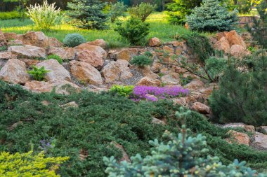 Bir kır evinin bahçesindeki çiçek tarlaları ve ağaçlar.