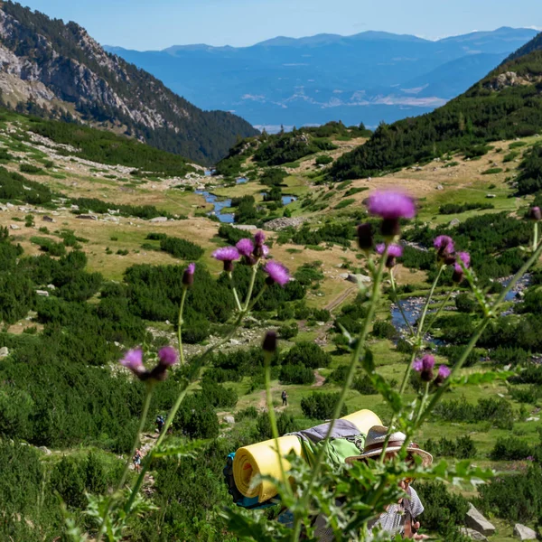 Lembah dan lereng gunung di Taman Nasional Pirin, Bulgaria. — Stok Foto