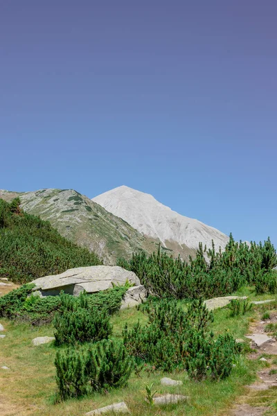 ピリン国立公園のヴィヒレン山-世界遺産 — ストック写真