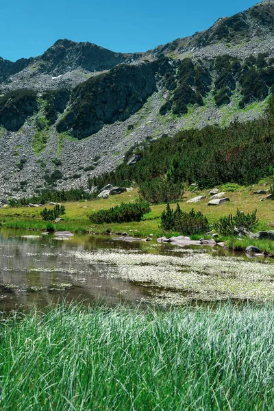 Alpine lake in the mountains of Pirin National Park, Bulgaria — Stock Photo, Image