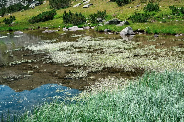 Alpesi tó a Pirin Nemzeti Park hegyeiben, Bulgária — Stock Fotó