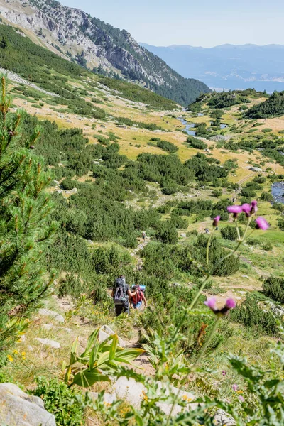 Vallei en berghellingen in Nationaal Park Pirin, Bulgarije. — Stockfoto