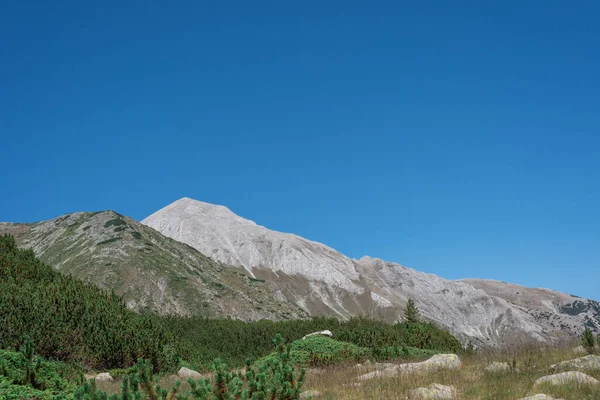 ピリン国立公園のヴィヒレン山-世界遺産 — ストック写真