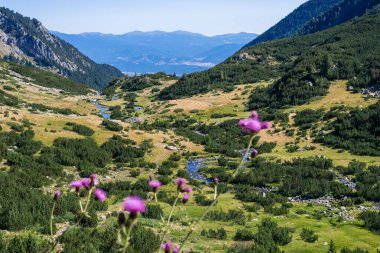 Bulgaristan 'ın Pirin Ulusal Parkı' ndaki vadi ve dağ yamaçları.