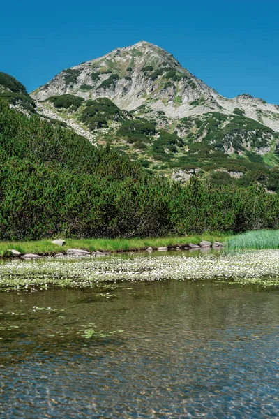 Alpin sjö i bergen i Pirin National Park, Bulgarien — Stockfoto