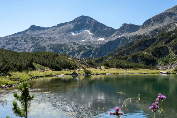 Alppien järvi Pirin kansallispuiston vuoristossa, Bulgaria — kuvapankkivalokuva