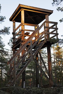 Roback ormanında gözcü kulesi