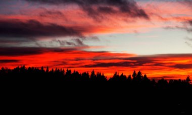 Kırmızı günbatımı Ormanda arka planda