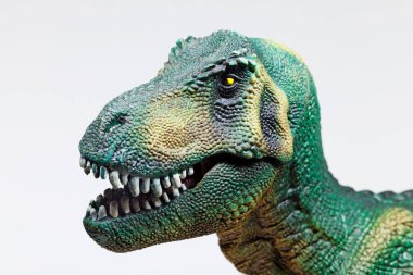 Beyaz arka planda oyuncak bir dinozorun kafası.
