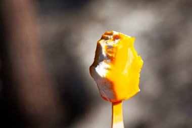 Birisinin yediği mango dondurması. 