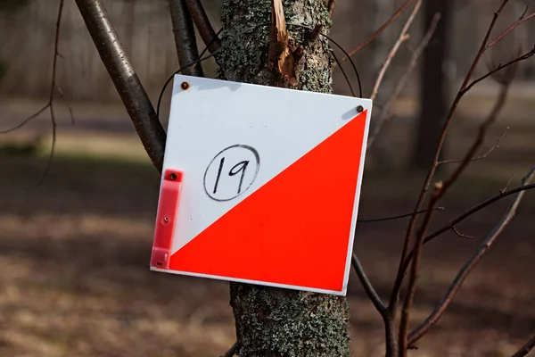 Oriëntatie Controlepost Wit Oranje Gemonteerd Een Boom — Stockfoto