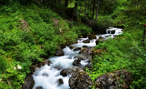 Sottoguda Canyon Italia — Foto Stock