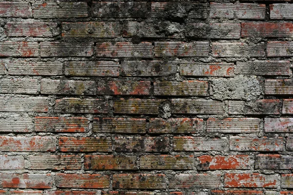 Old Brick Wall — Stock Photo, Image