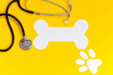 Stetoskop, sembolik kemik ve sarı arka planda köpek pençesi izi. Dünya kuduz günü konsepti.