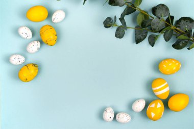 Sarı ve beyaz renklerde Paskalya yumurtaları ve pastel mavi arka planda bir okaliptüs dalı. Düz yatış, üst görünüm.