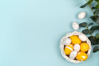 Sarı ve beyaz renkli Paskalya yumurtaları bir sepette ve pastel mavi arka planda bir okaliptüs dalında bulunur. Düz yatış, üst görünüm.