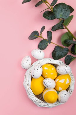 Mutlu Paskalyalar. Sarı yumurtalar ve pembe pastel arka planda bir okaliptüs dalı. Düz konum, üst görünüm, kopyalama alanı. Dikey.