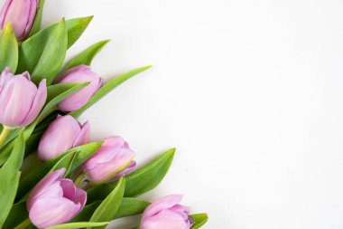 Beyaz arka planda laleler. Temiz metin alanı olan şenlikli çiçek konsepti. Düz yatıyordu. Yukarıdan görüntüle.