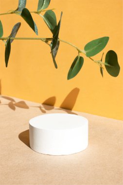 Pastel arka planda boş beyaz podyum. Sert gölgeler. Minimum geometrik podyum. Geometrik şekilli sahne. Kozmetik ürünlerinin sunumu için boş vitrin.