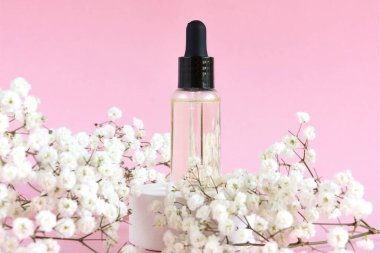 Pembe arka planda damlatıcısı olan kozmetik şişesi. Çingenenin çiçek açan dalı. Doğal kozmetik konsepti ve berning.