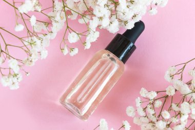 Pembe arka planda damlatıcısı olan kozmetik şişesi. Çingenenin çiçek açan dalı. Doğal kozmetik konsepti ve berning.