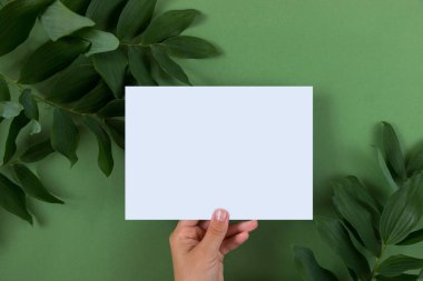 Yapraklı davetiye düzeni sahnesi. Boş tebrik kartları, zarf ve yeşil arka planda boş bir kağıt. Dişi natürmort. Düz yatış, üst görünüm