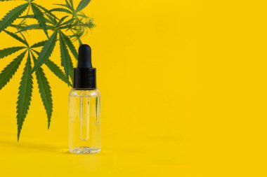 Sarı arka planda CBD yağı ve kenevir yapraklı Amber cam kozmetik şişeleri. Kozmetik CBD yağı.