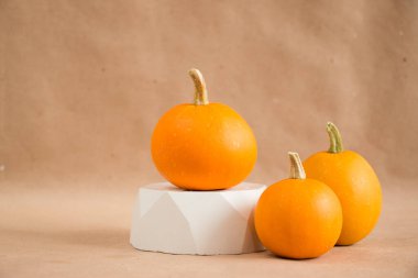 Sağlam bir arka planda balkabaklarının şenlikli sonbahar dekoru. Şükran Günü ya da Cadılar Bayramı konsepti. Kopya alanı ile sonbahar bileşimi