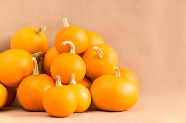 Sağlam bir arka planda balkabaklarının şenlikli sonbahar dekoru. Şükran Günü ya da Cadılar Bayramı konsepti. Kopya alanı ile sonbahar bileşimi