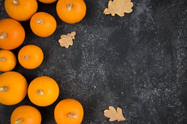 Siyah bir arka planda balkabaklarının şenlikli sonbahar dekoru. Şükran Günü ya da Cadılar Bayramı konsepti. Kopya alanı olan düz sonbahar kompozisyonu