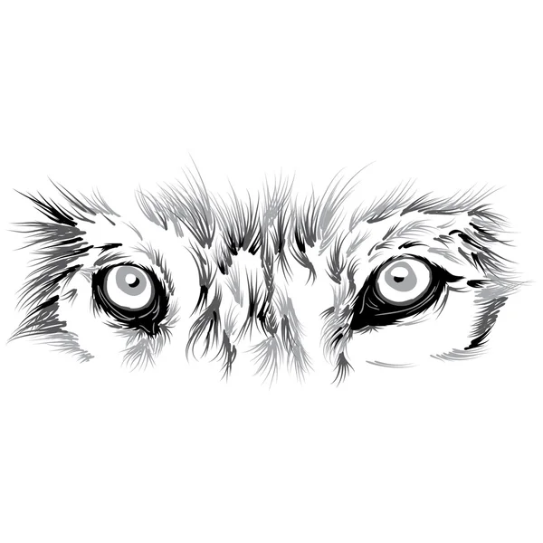 Beautiful Wolf face — Stock Vector