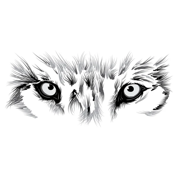 Beau visage de loup — Image vectorielle