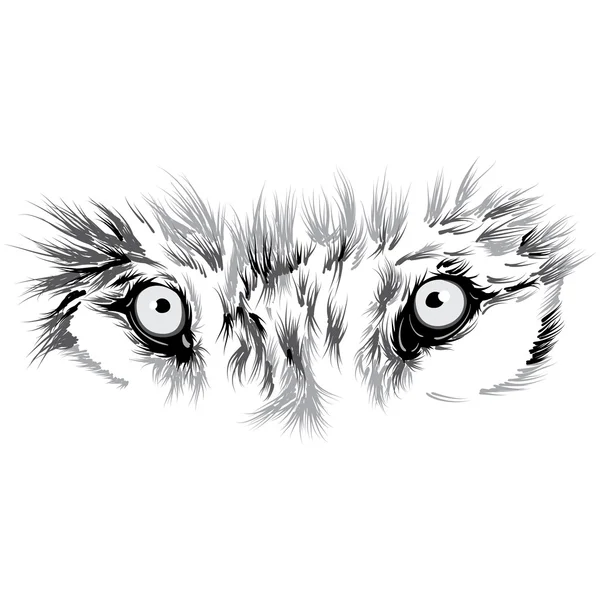 Beau visage de loup — Image vectorielle