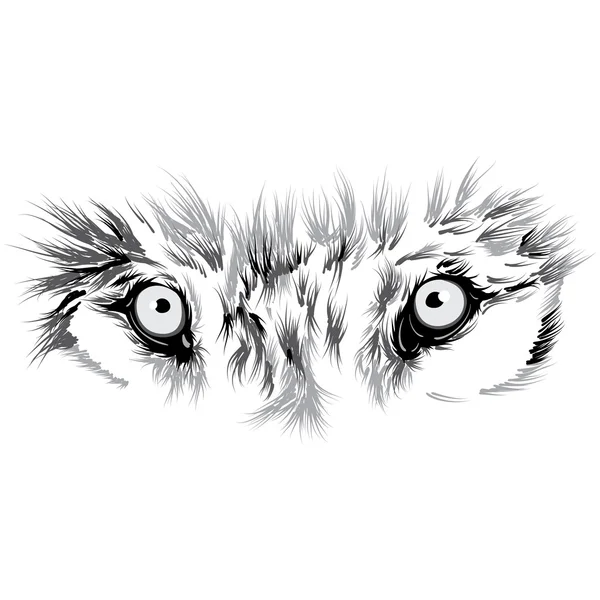 Beautiful Wolf face Vector Graphics