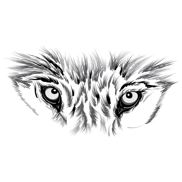 Vackra Wolf ansikte. Vektor illustration — Stock vektor