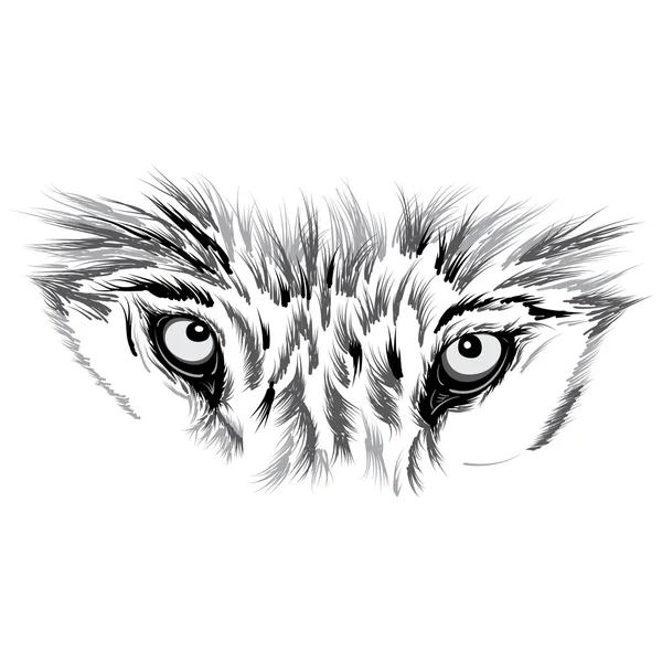 Hermosa cara de lobo. Ilustración vectorial — Vector de stock