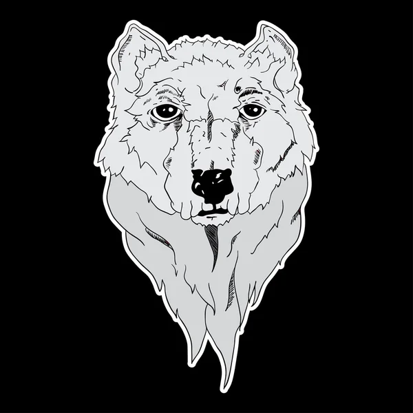 Loup blanc — Image vectorielle