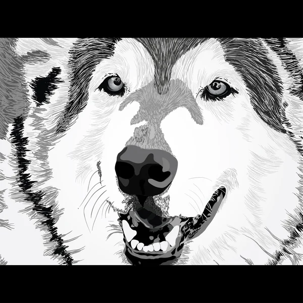 Visage de loup en colère — Image vectorielle