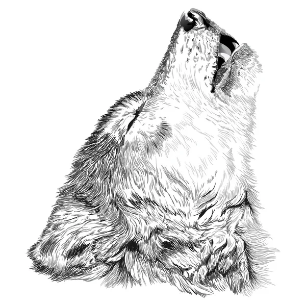 Loup hurle croquis — Image vectorielle