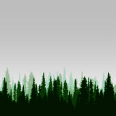 Panorama divokého jehličnatého lesa