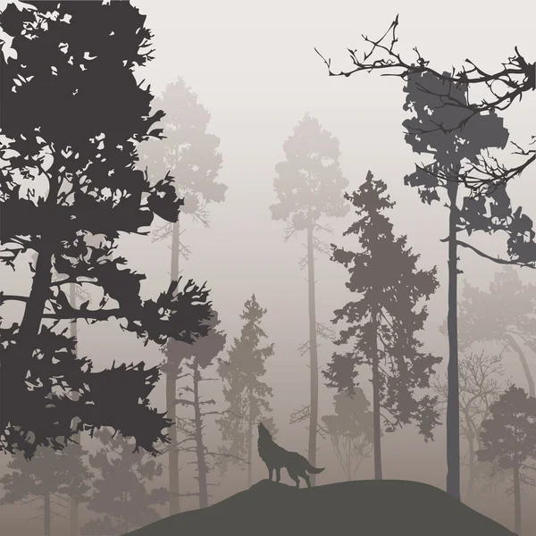 Pine forest and the wolf — Stock Vector