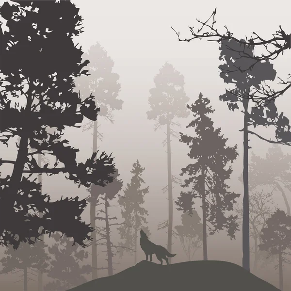 La forêt de pins et le loup — Image vectorielle