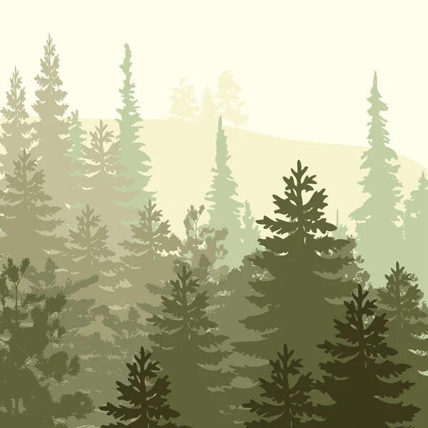 Panorama del bosque de coníferas silvestres — Vector de stock