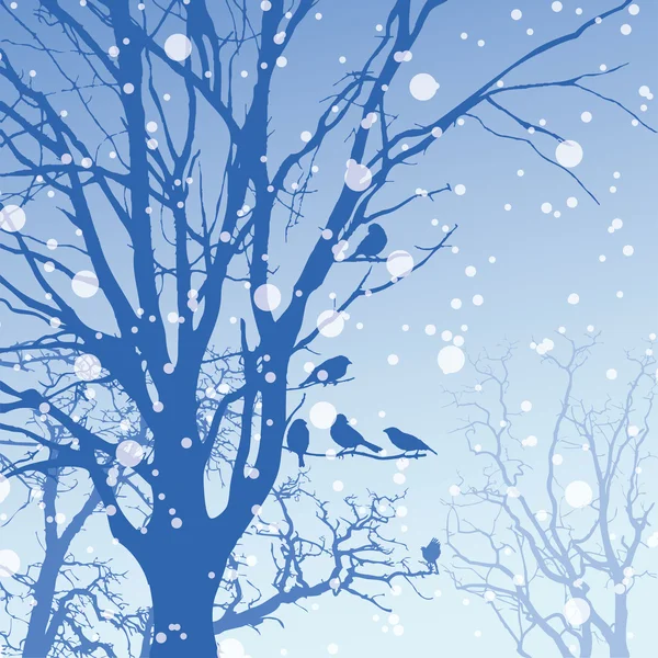 Panorama de la forêt de conifères sauvages d'hiver — Image vectorielle