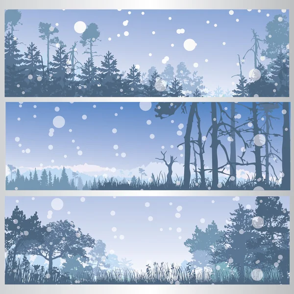 Conjunto de pancartas de bosque de invierno — Vector de stock