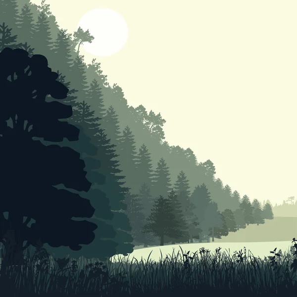 松の木で自然の風景 — ストックベクタ