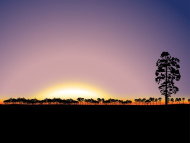 Doğa günbatımı arka plan