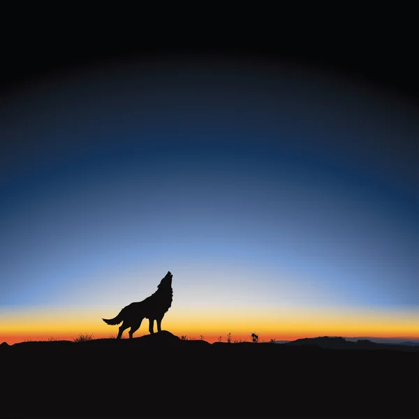 Majestic sunrise and wolf — Stock Vector